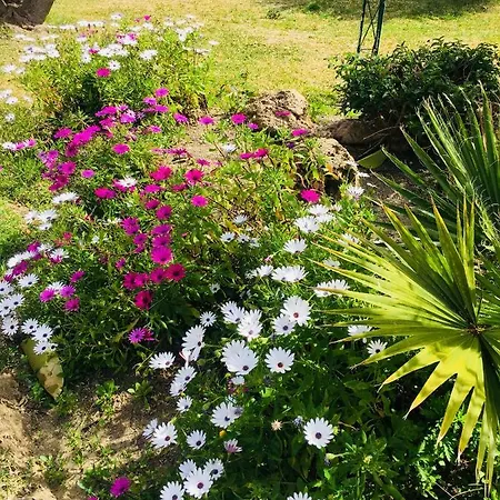 Royal Gardens * Marbella